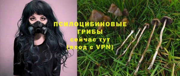 не бодяженный Алзамай