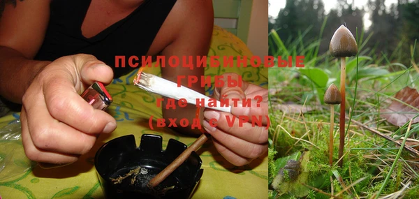экстази Алексин